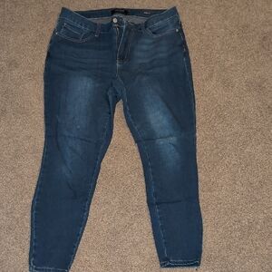 Judy Blue Skinny Jeans Sz 14W